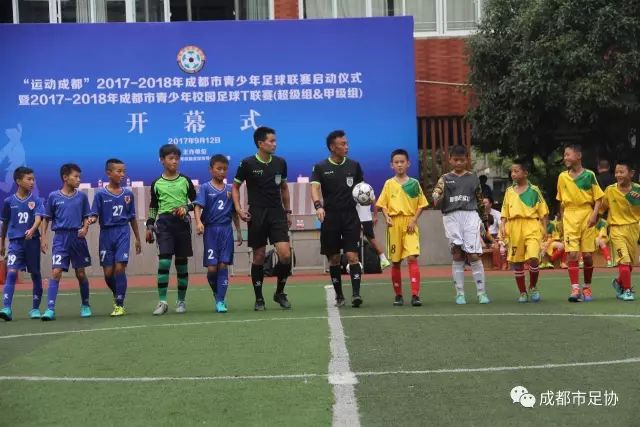Bsports下载